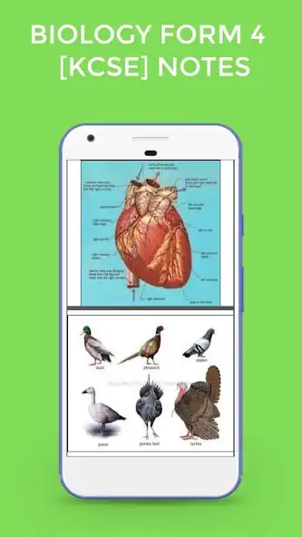 Play Biology Form 4 Notes [Kcse]  and enjoy Biology Form 4 Notes [Kcse] with UptoPlay